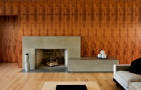 Private Residence | Piedmont | Fireplace