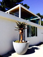 Enorme Planter