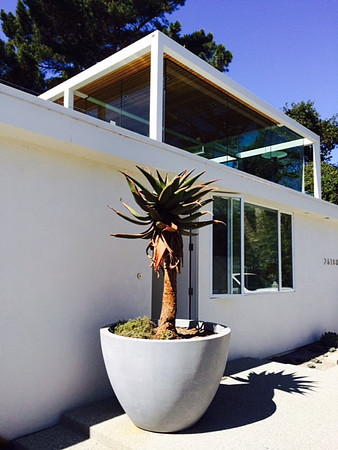 Enorme Planter