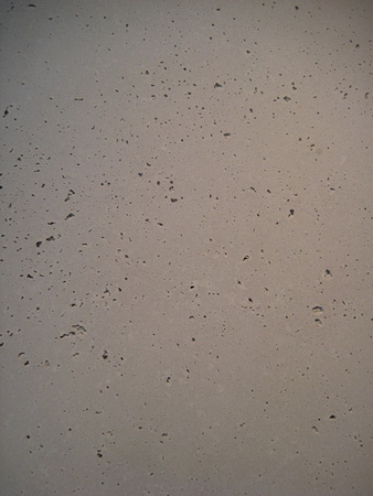 Natural finish Wall Panel